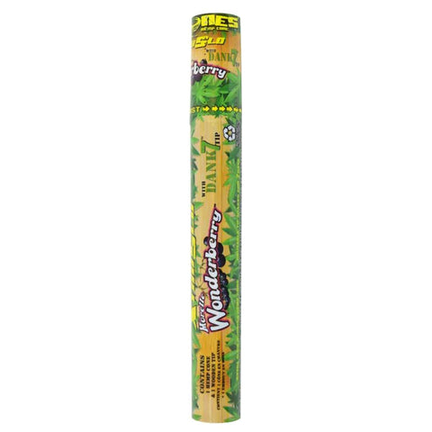 Cyclones Cones 2pk