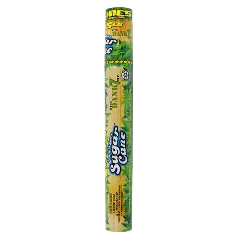 Cyclones Cones 2pk