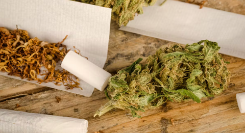 Herbs and Tobacco: A Comparative Analysis
