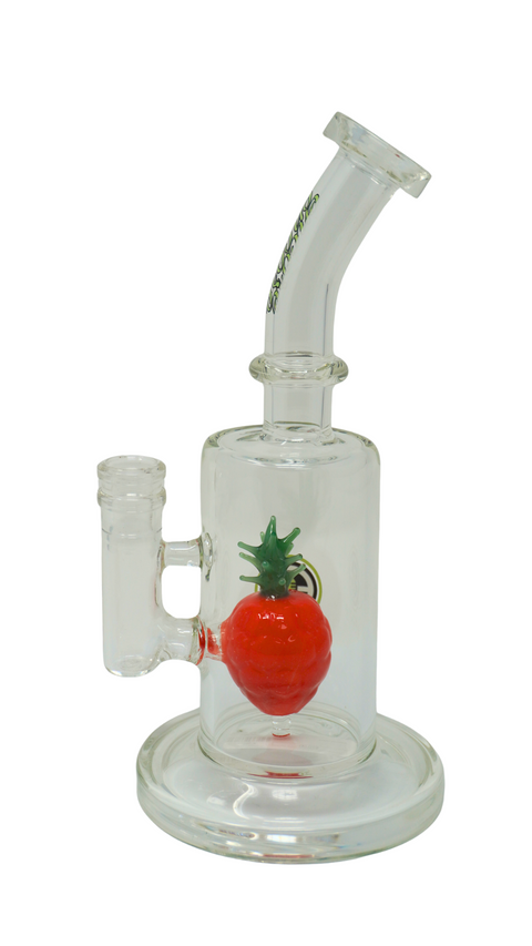 Encore Glass-EC-R81