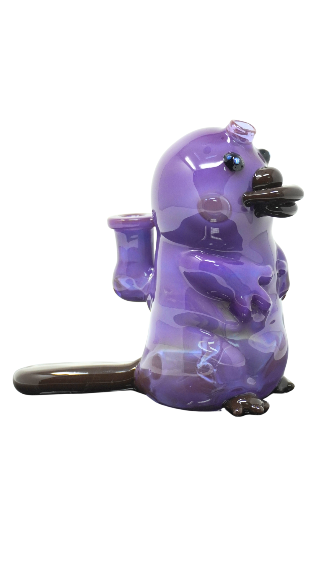Tony Kazy Glass Platypus Rig
