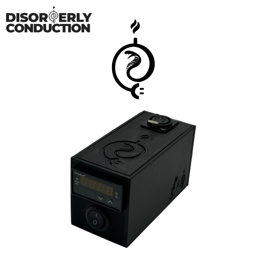 Disorderly Conduction 3D Nail