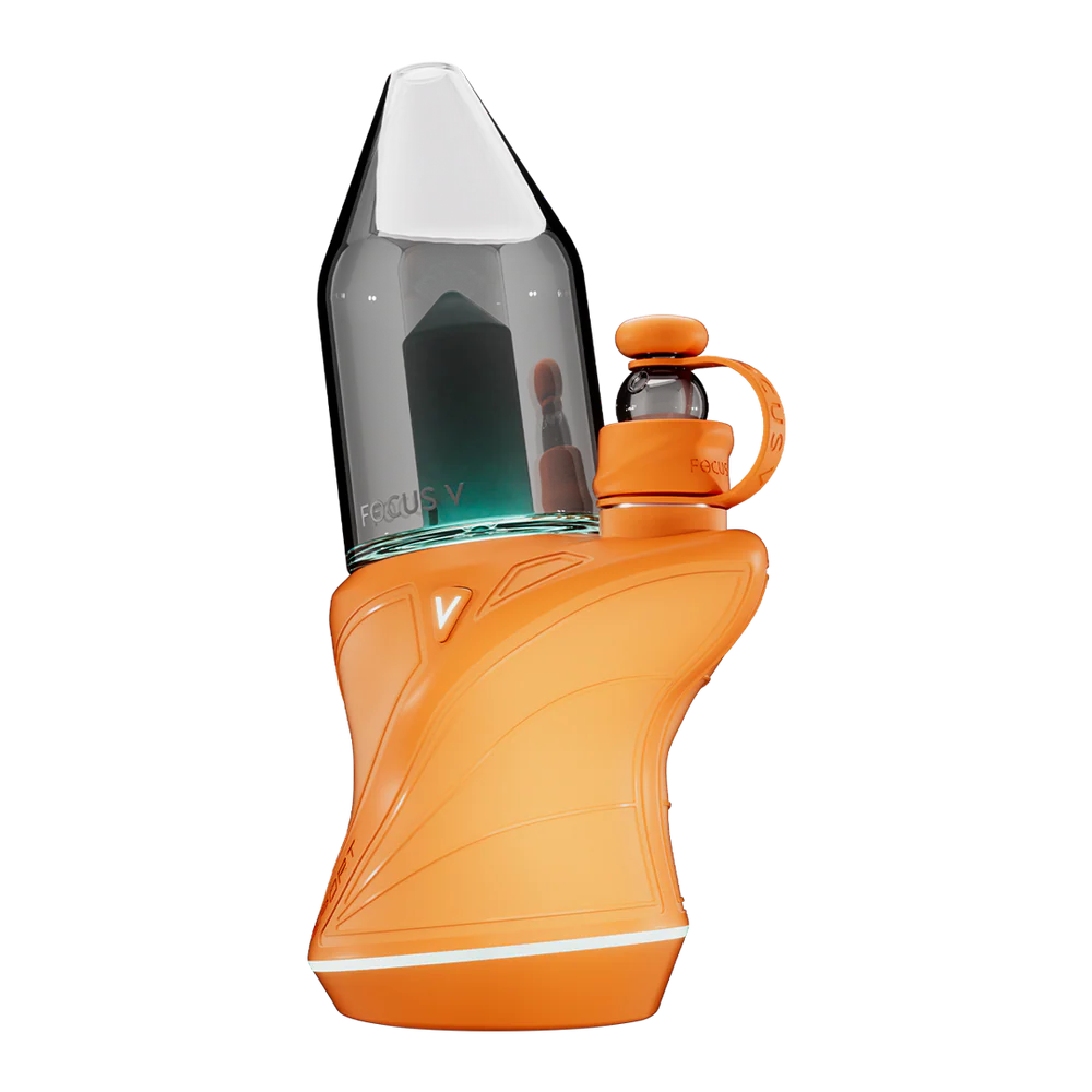 Focus V - Carta Sport