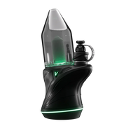 Focus V - Carta Sport