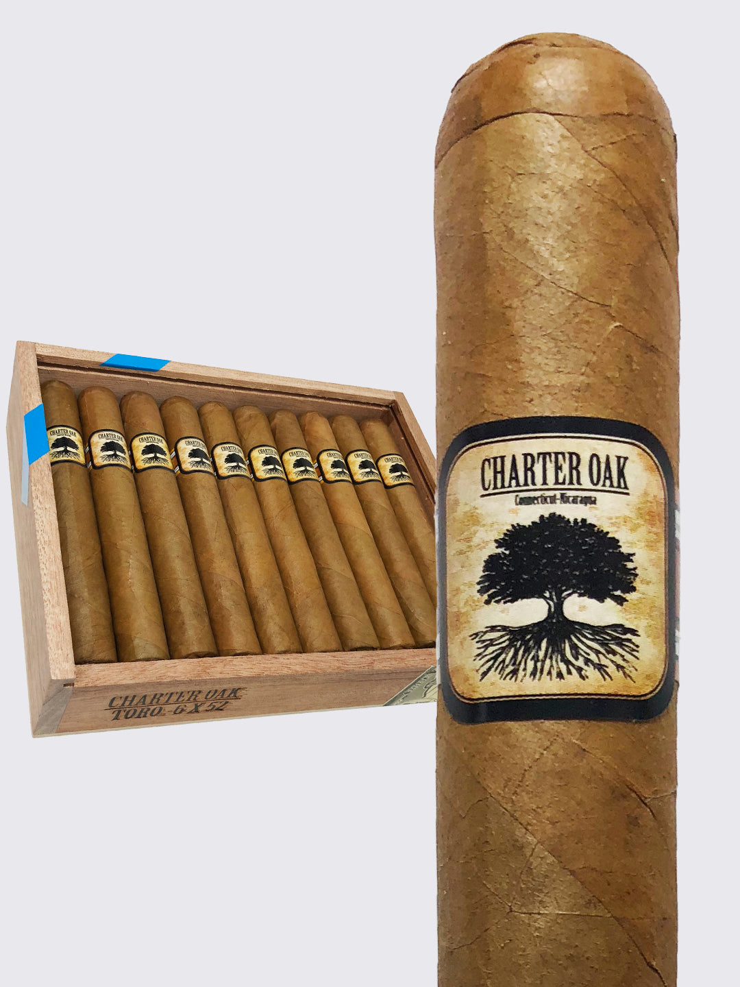 Charter Oak Connecticut - Nicaragua - Toro : Shade