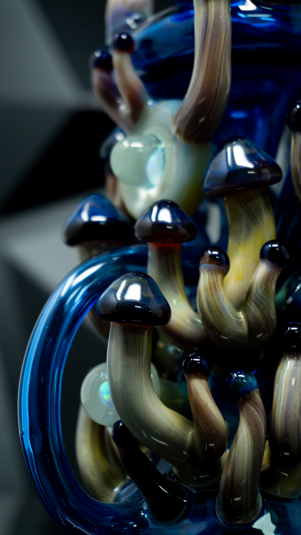 Nic Ric Glass Fungus Floater