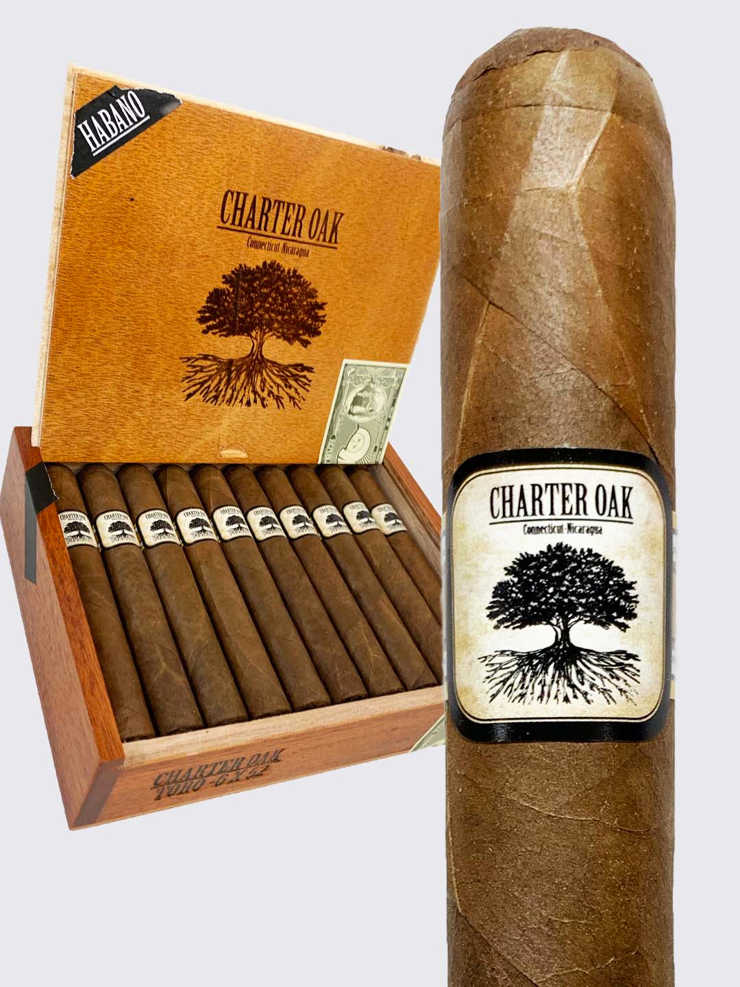 Charter Oak Connecticut - Nicaraguan - Toro : Habano