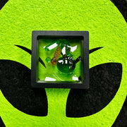 Pouch Glass Slurper Set