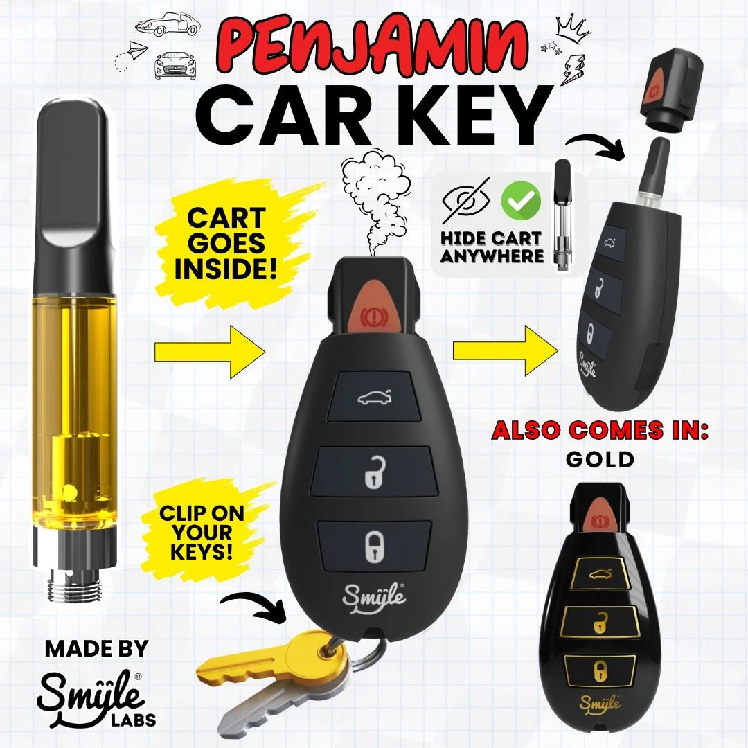 Penjamin Hidden Battery Car Key