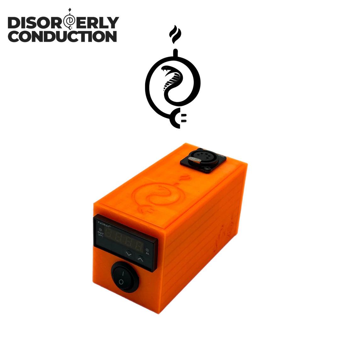 Disorderly Conduction 3D Nail