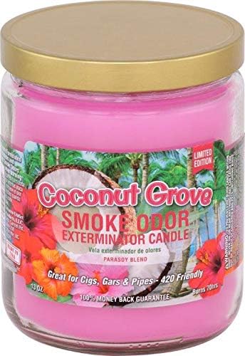 Smoke Odor Candle 13oz Jar