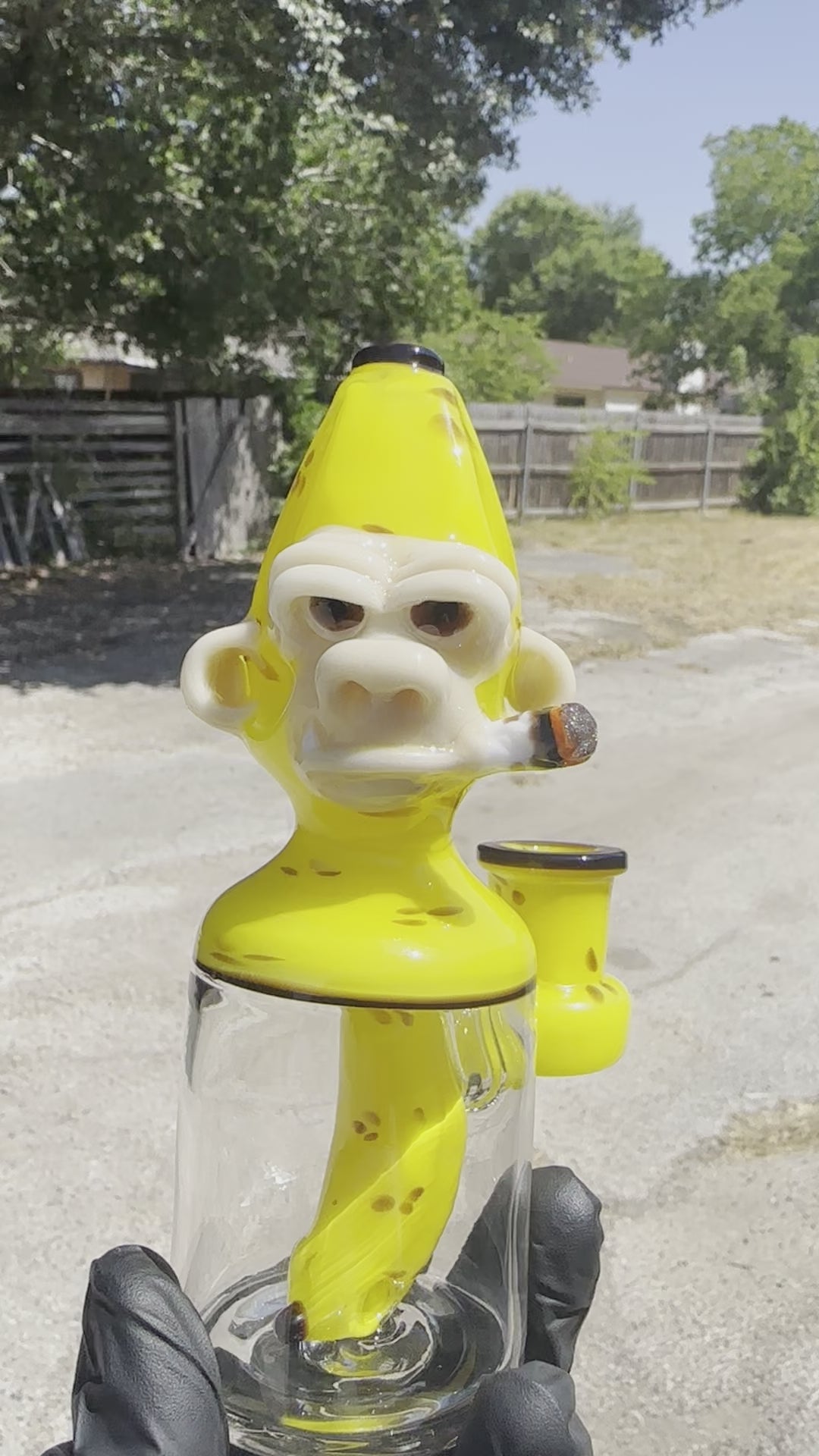 Load video: Catalyst Glass - Banana Smokin' Chimp Rig