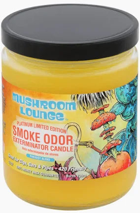 Smoke Odor Candle 13oz Jar