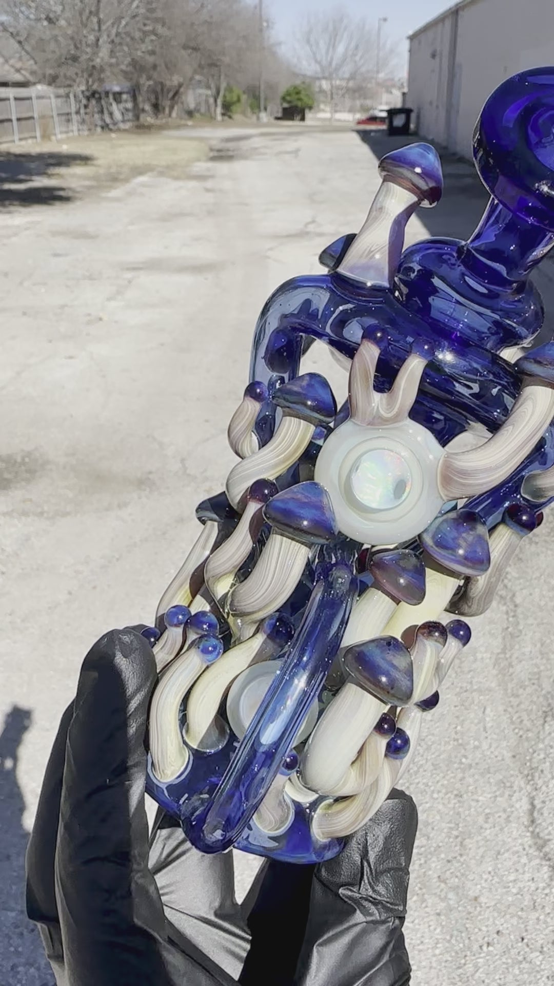 Load video: Nic Ric Glass Fungus Floater