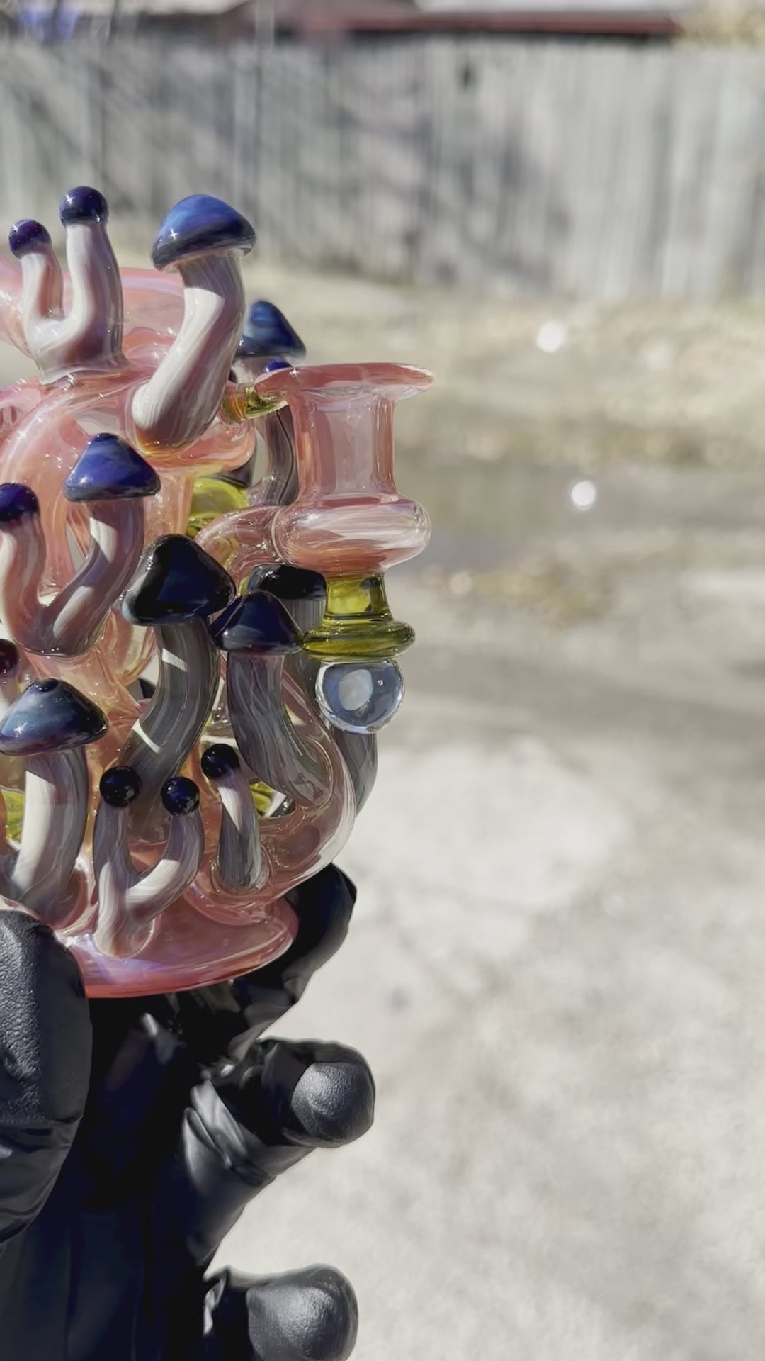 Load video: Nic Ric Glass Fungus Floater