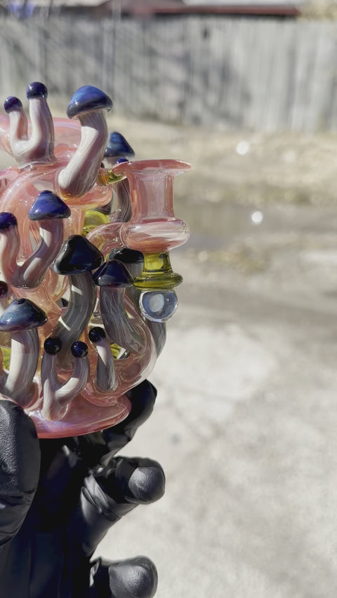 Nic Ric Glass Fungus Floater