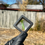 Takoda Madrona Terp Screws