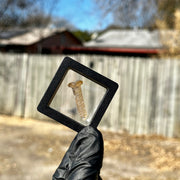 Takoda Madrona Terp Screws