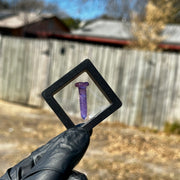 Takoda Madrona Terp Screws