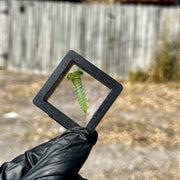 Takoda Madrona Terp Screws