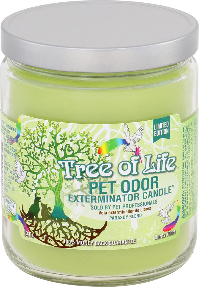Smoke Odor Candle 13oz Jar